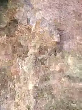 FinableKnee online show from April 24, 2026, 1:08 am