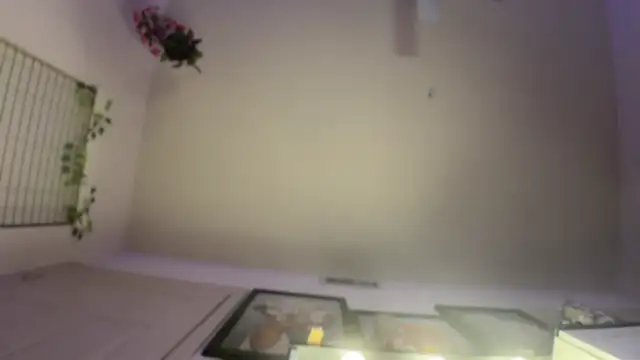 rennibear online show from December 9, 2024, 2:56 am