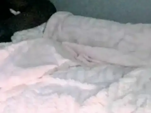 montydxxxx online show from February 5, 2026, 12:04 am