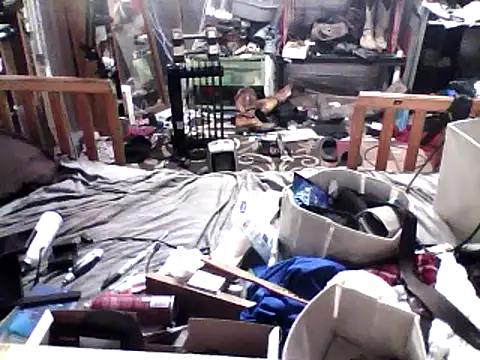 gstudc online show from March 3, 2025, 2:36 am