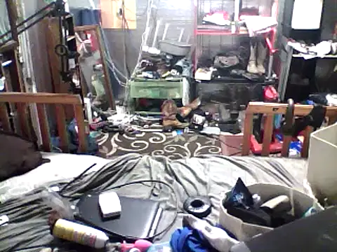 gstudc online show from March 4, 2025, 3:26 pm