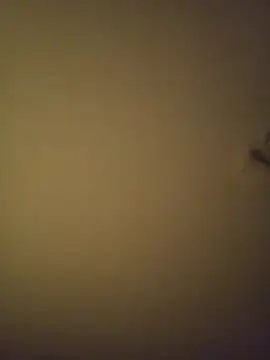 SMOKERBEASTBR online show from February 8, 2026, 6:17 am