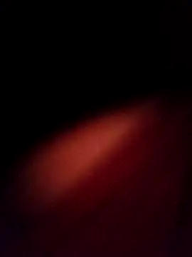 EISONREINA11 online show from October 20, 2025, 2:50 pm