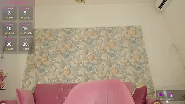 illegal lorry online show from June 17, 2026, 4:48 am