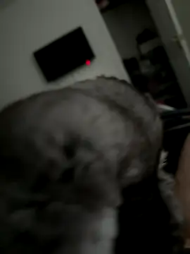 Snapshot of Furdale chatting on October 2, 2025, 3:30 pm Furdale online show from October 2, 2025, 3:30 pm