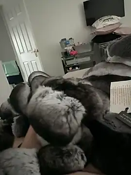 Furdale online show from November 10, 2025, 2:49 pm