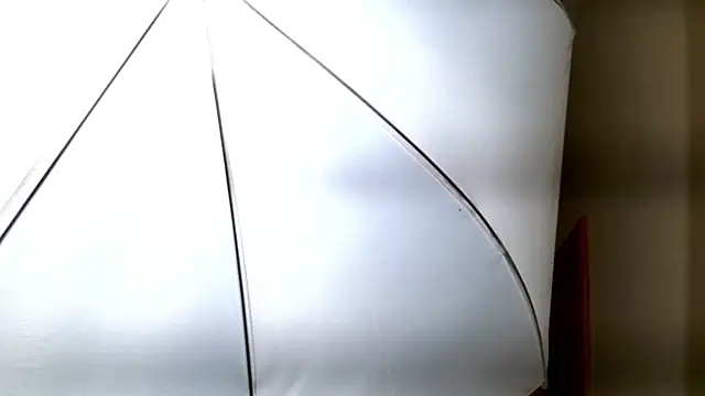 Ledy Mary online show from November 8, 2025, 4:51 pm