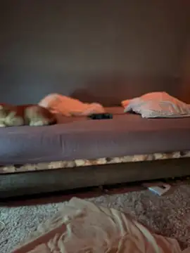 Bastet online show from January 15, 2025, 7:34 pm