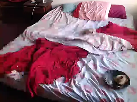 Snapshot of deftoolceles chatting on March 23, 2026, 6:56 pm deftoolceles online show from March 23, 2026, 6:56 pm