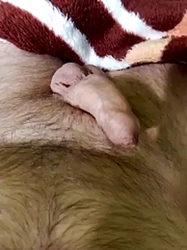 Snapshot of Robertvirt chatting on February 16, 2026, 11:06 am Robertvirt online show from February 16, 2026, 11:06 am