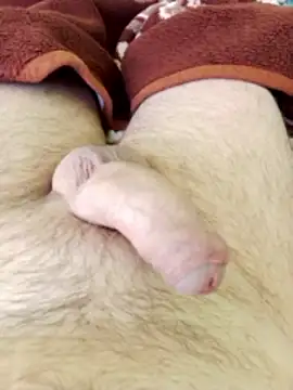 Snapshot of Robertvirt chatting on March 6, 2026, 8:22 am Robertvirt online show from March 6, 2026, 8:22 am