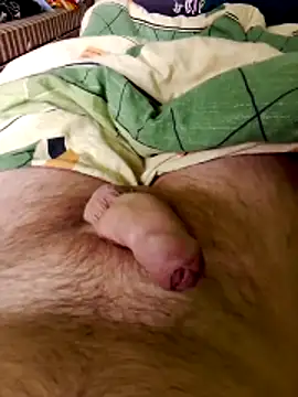 Snapshot of Robertvirt chatting on March 25, 2026, 10:43 am Robertvirt online show from March 25, 2026, 10:43 am