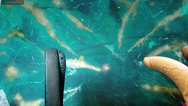 Snapshot of julieth_sex1 chatting on September 27, 2025, 4:50 am julieth sex1 online show from September 27, 2025, 4:50 am