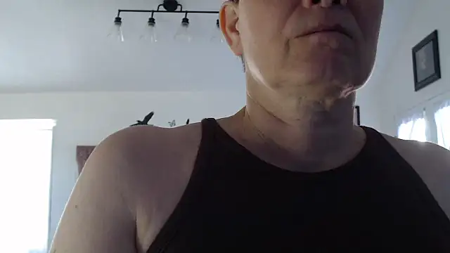 AuroraWillows online show from November 14, 2025, 3:33 pm