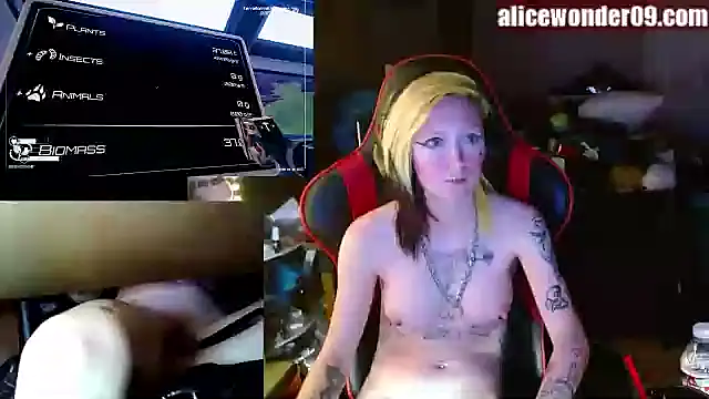 alicewonder09 online show from January 1, 2025, 7:30 am