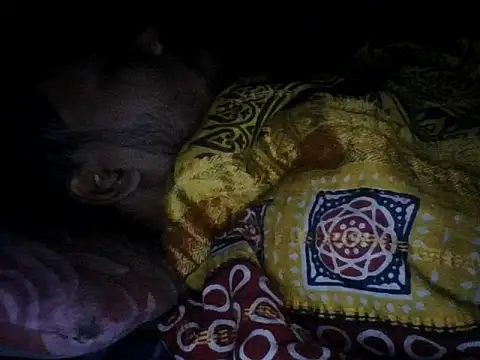 chittagong77 online show from December 13, 2025, 9:53 pm