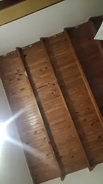 Snapshot of ZaraHoney chatting on October 28, 2025, 5:11 am ZaraHoney online show from October 28, 2025, 5:11 am