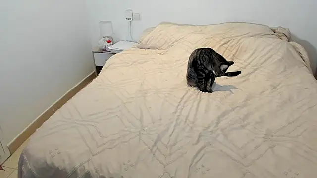 MariaMeir online show from January 10, 2026, 10:25 pm