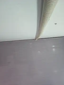 Snapshot of sweet_lucia chatting on March 11, 2026, 9:21 pm sweet lucia online show from March 11, 2026, 9:21 pm