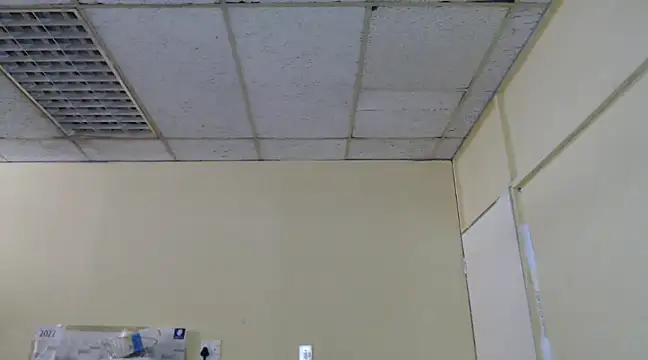 Mydreamgirrl online show from February 13, 2025, 11:06 am