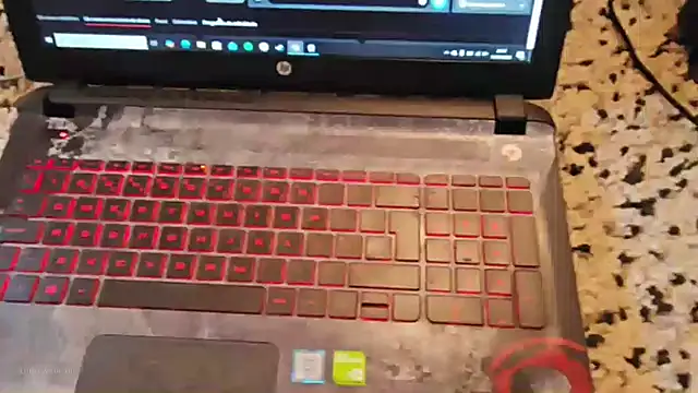 made in brazil online show from January 11, 2026, 8:47 pm