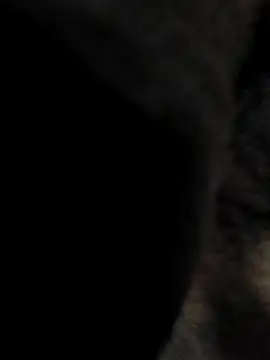 indian boy001 online show from February 23, 2025, 3:45 am