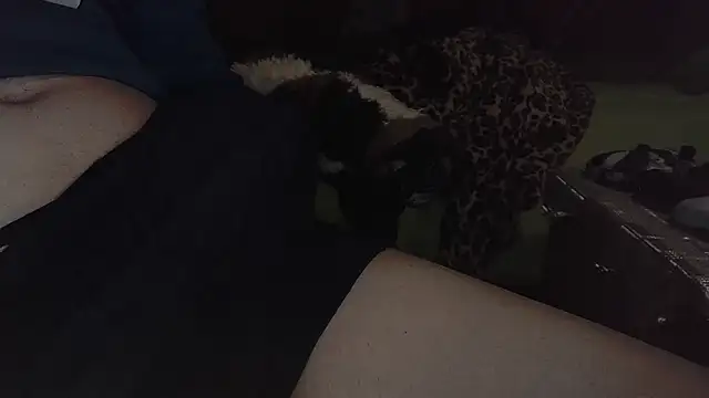 dimipetagr online show from February 22, 2025, 11:13 pm