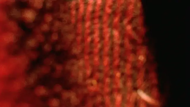 rockhead1971 online show from October 18, 2025, 10:49 am