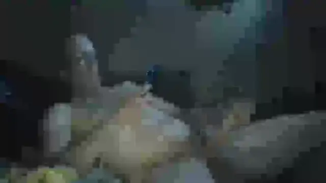 Wyleyxh online show from September 23, 2025, 8:28 am