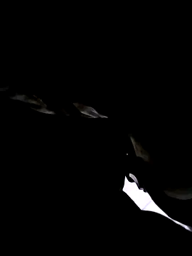 Snapshot of 74bob chatting on September 21, 2025, 4:25 am 74bob online show from September 21, 2025, 4:25 am