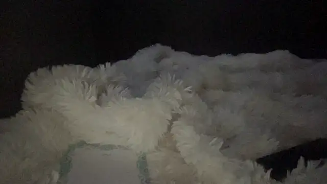 lyna sweet online show from April 16, 2026, 10:34 pm