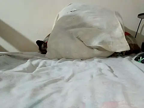 JamesQuaresma online show from February 11, 2026, 3:39 pm