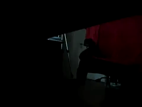 leccaleccafiga online show from February 10, 2025, 9:36 pm