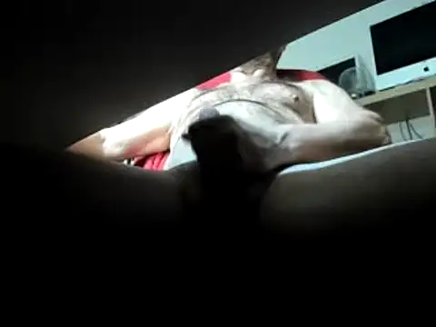 leccaleccafiga online show from March 1, 2025, 3:49 pm