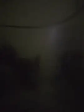 landy20cm online show from October 16, 2025, 10:49 am