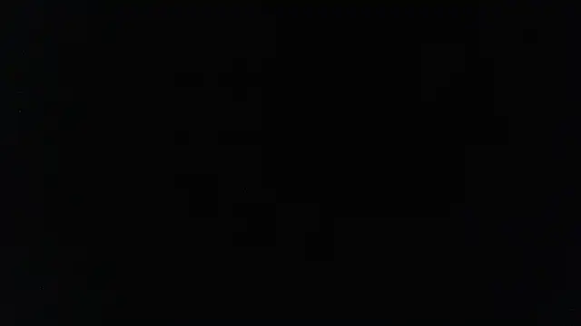 harry reems1 online show from January 12, 2025, 9:40 am