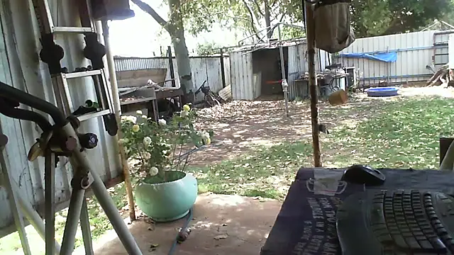 herbie010666 online show from October 12, 2025, 2:32 am