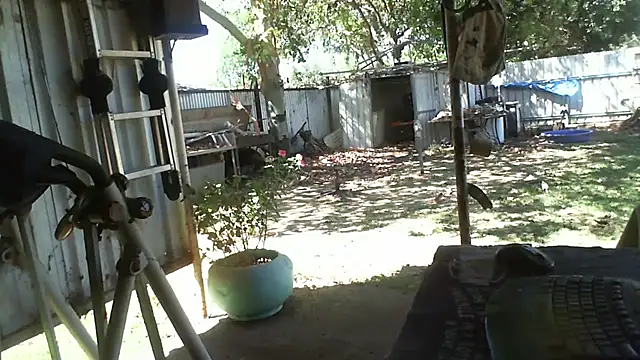 herbie010666 online show from November 6, 2025, 4:24 am