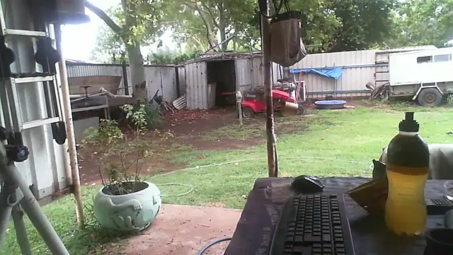 herbie010666 online show from December 23, 2025, 3:15 am