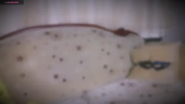 Snapshot of MERA_arab chatting on January 19, 2025, 8:09 pm MERA arab online show from January 19, 2025, 8:09 pm