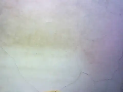 Snapshot of wet_babexxx chatting on October 9, 2025, 10:30 pm wet babexxx online show from October 9, 2025, 10:30 pm