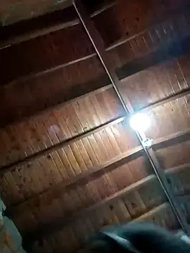 Bigassmommy x online show from November 3, 2025, 1:56 pm