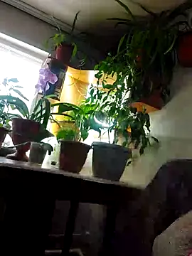 IrmaRose online show from November 9, 2025, 7:17 am