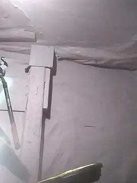 Snapshot of Wero4200 chatting on October 7, 2025, 10:01 am Wero4200 online show from October 7, 2025, 10:01 am