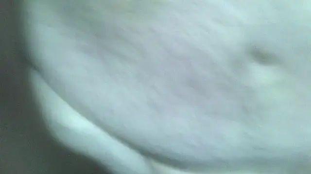 fishhead2100 online show from December 16, 2025, 7:24 am