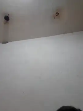 Calamaco07 online show from February 25, 2026, 6:23 am