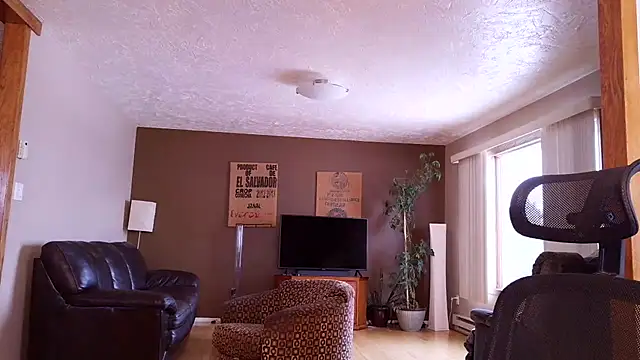 Snapshot of BasicAnt chatting on March 17, 2026, 1:47 pm BasicAnt online show from March 17, 2026, 1:47 pm