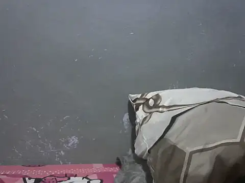 Forsia online show from March 25, 2026, 5:13 am