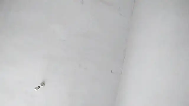 Jigolo mustafa online show from September 29, 2025, 11:37 am