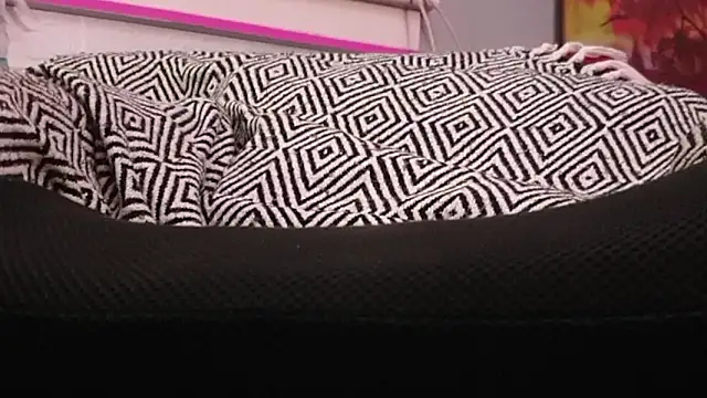 sexmadshyguy online show from December 22, 2025, 5:37 am